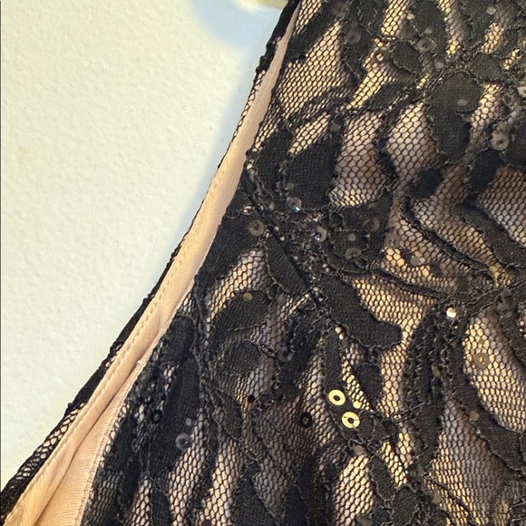 DressBarn Collection Elegant Black Lace Evening Dress - Picture 8 of 14